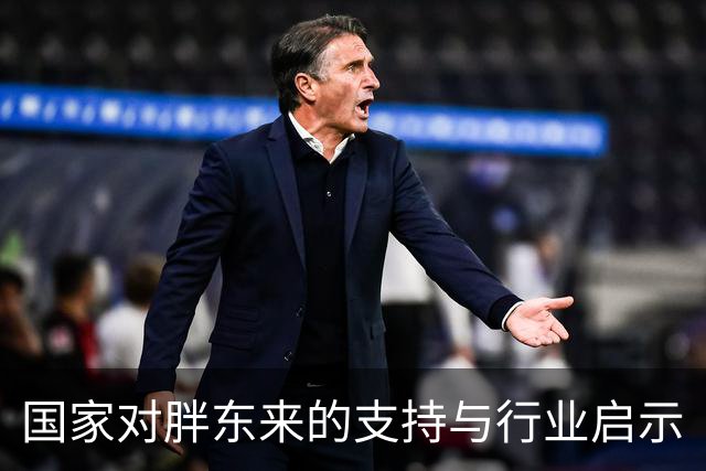 国家对胖东来的支持与行业启示